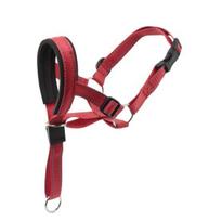 Dog Muzzle Buckle Fixing Adjustable Comfortable To Wear Anti-Bite Quick Release Breathable raudona