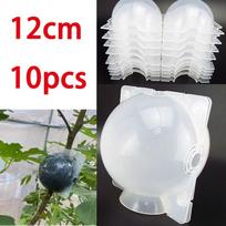 12 cm 10 vnt Vaisių augalų medžių šaknų rutulinė šaknų dėžutė plastikinis dėklas permatomas gėlių skiepijimas šakniavaisis Augantis aukšto slėgio veisimas