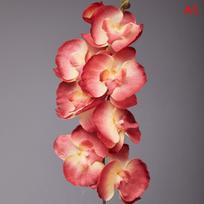 8 galvų dirbtinė drugelio orchidėja, netikras 3D Phalaenopsis, modeliavimo gėlė, tikroviškai atrodantys augalai, vestuvių, namų, Kalėdų dekoracija