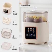 110V Multi-Function Mini Egg Cooker: Smart Steamed, Soft-Boiled, Hot Spring, US Standard Breakfast Machine US 110V gray