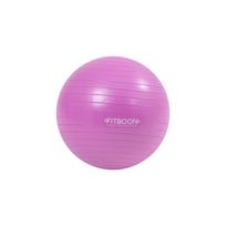 FITbun Jogos Gimnastikos Kamuolys 30cm (Violetinė/Šviesiai rožinė) Gym ball 30cm purple