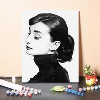 „Pasidaryk pats“ tapyba pagal skaičius Skaitmeninis aliejinis piešimas skaičiais Tapyba Namų dekoravimas Amatai Pomėgiai Menas 40x50cm no frame black