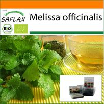 SAFLAX - Sodas maišelyje - Ekologiškas - Melisa - 1000 sėklų - Su substratu tinkamame stovimame maišelyje - Melissa officinalis