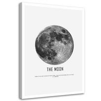 Canvas print Moon Cosmos Night 40x60 balta/juoda