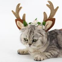 Naminių gyvūnėlių reikmenys Kalėdų šunų kepurė kačių papuošalai Antler galvos juosta M įvairiaspalvis
