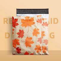 10PCS plastic mail, 10x13 inches, cute packaging bag for mail envelope, boutique clothing 25.3cmx33cm
