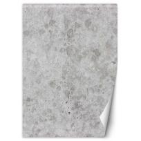 Tapetai Betono tekstūros Imitacija Loftas 100x140 pilka spalva