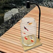 Aquarium Light with Board,360° Rotatable,Portable,Plant Stand Fish Tank for Indoor