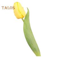 Imituota tulpė 37cm Dirbtinė tulpė Iš dirbtinio šilko Netikra tulpės žiedas Didmeninė prekyba vazai, vestuvėms, namų dekorui, pavasario vakarėliams, Motinos dienos dovana geltona