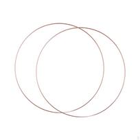 2 Vnt. Metaliniai Gėlių Lankai „Pasidaryk pats“ Projektams Ir Sienų Dekoracijoms Diameter 40 cm