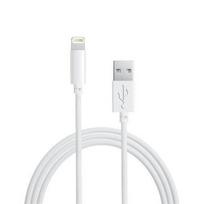 USB Cable - GT - iPhone 5S/5C - 8-Pin - 1 m - Charging and data transfer