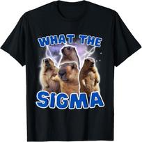 CHzwBEST What The Sigma Meme Groundhog Day T-Shirt S juoda