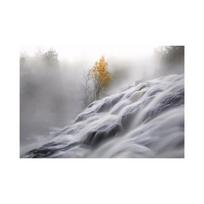 WCIC New Raging Waterfall Art Cloth Namų fonas Sienų apdaila Paveikslas Kabantis Paveikslas 21cm*30cm