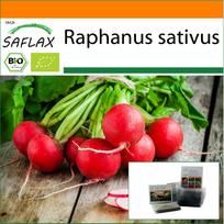 SAFLAX - Sodas maišelyje - Ekologiškas - Ridikėlis - Vyšnių varpelis - 100 sėklų - Su substratu tinkamame stovimame maišelyje - Raphanus sativus
