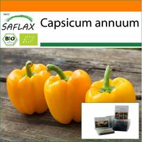 SAFLAX Sodas maiše - Ekologiškas - Saldžioji paprika - Auksinė Kalifornijos stebuklas - 20 sėklų - Su substratu tinkamame stovinčiame maiše - Capsicum annuum