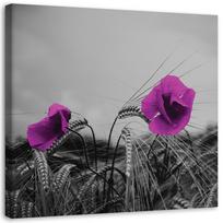 Canvas print Purple Poppies 30x30 violetinė