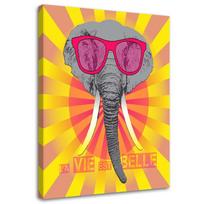 Canvas print Colourful Elephant with Glasses 40x60 oranžinė