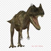 Hareketli Resimler Dinazor Tyrannosaurus Dinozaurų geležis ant šilumos perdavimo spausdinimo Vinilo pleistrai Lipdukas drabužiams „Pasidaryk pats“ aplikacijos, plaunamos pleistrai gray