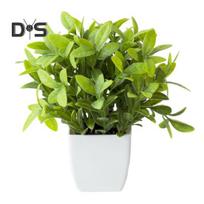 Colorfast Fake Plant Be laistymo Mada Be Apipjaustymo Dirbtinis bonsai žalia