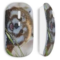 Belaidė pelė Red panda