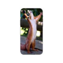 Mielas Squirrel telefono dėklas, skirtas iphone 5 5s 2020se 6 6s 7 8 plus x 10 XR XS 11 12 13 mini pro MAX juodas tpu galinis dangtelis iphone 5 5S SE 2016