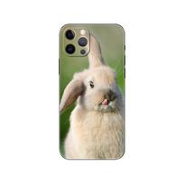 Mielas baltų triušiukų telefono dėklas, skirtas iphone 5 5s 2020se 6 6s 7 8 plus x 10 XR XS 11 12 13 mini pro MAX juodas tpu galinis dangtelis iphone 13pro MAX
