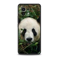Phone Case For Xiaomi Poco X4 X3 NFC F3 F4 M3 M4 Mi 12T 10 11 Ultra 11T 13 Pro 10T 12 Lite 9T 5G Cover Chinese Bear Panda Animal Xiaomi 12T Pro black