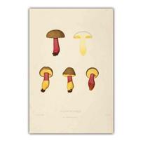 Retro meno augalų drobės tapyba įvairūs grybų plakatai virtuvės sienos tapyba svetainės koridoriaus namų dekoravimo freskos Be rėmo 21*30cm No Frame