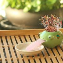 Mini Animal Bonsai Set Self Watering Planter Ceramic Cultivation Peropon Drinking Tougue Decoration Size1
