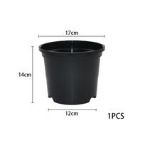Flowerpot Plant Pots Black Bonsai Daisy Mint Orchid B