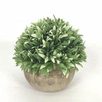 Simulation Green Plants, Simulation Plants, Green Plant Bonsai, Plastic Fake Flower Potted Plants, Melaleuca Desk Small Ornament balta