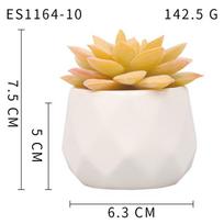 Simuliacinis sultingasis augalas Keramikinis vazoninis augalas Dirbtinis sultingasis Bonsai Dirbtinė gėlė Interjero dekoravimo ornamentas Žalieji augalai