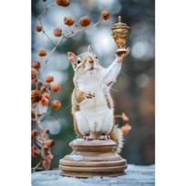 HD Cute Hamster Posters Canvas Prints Art What Is Love Hamster Canvas Painting Modern Cute Animal Wall Art Mural Home Decor 21cm×30cm NoFrame