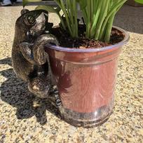 Bonsai Pakabinama skulptūra Gyvūno figūrėlė Derva Mielas vazonėlis Vazono pakabukas Sodo statula Namams Biurui Frog