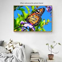 Diamond Embroidery Full Animal 5d Diamond Painting Butterfly Picture of Rhinestones Diamond Art 20X30CM blue
