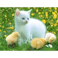 Cat White Deimantinis siuvinėjimas Karštas Išpardavimas Pilnas gręžimas Deimantinis dažymas Sienų dekoro gėlė 20X30CM beige