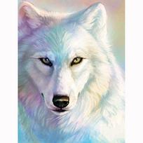 Visas 5D „pasidaryk pats“ deimantinis paveikslas animacinis filmas „Animal Wolf“ deimantinis siuvinėjimas kryželiu namų dekoras Rankų darbo 20x30cm gray