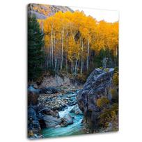 Canvas print, Mountain stream rocks forest trees nature 40x60 geltona