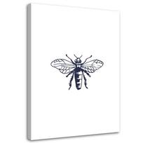 Canvas print Wasp Black and White Insect 40x60 juoda/balta
