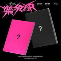 KLAUSIMAI VAIKAI – 8-asis mini albumas [ROKŽVAIGŽDĖ] RANDOM pink