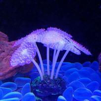 Žuvų akvariumo simuliacijos dekoracija, šviečiantis silikoninis povandeninis pasaulis, fluorescuojantys dirbtiniai koralai, akvariumo kraštovaizdis, spalvoti jūros anemonai raudona