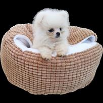 Small Dog Pet Nest Kennel New Pet Cat Nest Cave diameter 40