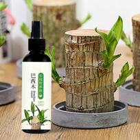 Brazilijos medžio augalų maistas 100 ml kambarinis augalų trąšas laimingam medžiui, Brazilijos medžio kambariniam augalui, Brazilijos medžio augalui CN brown