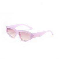 Glasses 95115 Autumn Cat Eyes Tortoiseshell Frame Jelly Pilot Sunglasses, Sunglasses violetinė