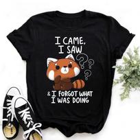Cute Raccoon I Came I Saw T-shirts for Women Summer Tee Shirt Femme Casual Short Sleeve Round Neck Tops T-shirts S juoda