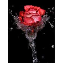 5D DIY Diamond Painting Roses and Butterflies Diamond Mosaic Diamond Embroidery Full Set Cross Stitch Kits Home Decor Gifts Round 20x30cm red