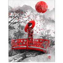 5D „pasidaryk pats“ deimantinis paveikslas „Japoniška mergina“ Siuvinėjimas kryželiu 5D namų dekoro dovana Full Round 20x30CM gray