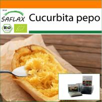 SAFLAX Sodas maiše – Ekologiški – Skvošas – Spagečiai – 5 sėklos – Su substratu tinkamame stovimame maišelyje – Cucurbita pepo