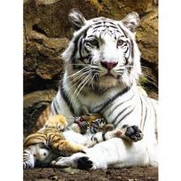 Full 5D DIY Diamond Painting white tiger in the mountains Diamond Embroidery Mosaic Kits Cross Stitch Home Decor Handmade Gifts Round 20x30cm gray