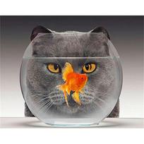DIY Diamond Painting Animal Cross Stitch Full Round Drill Diamond Embroidery Sale Home Decor Craft Kit Full Round 20x25CM black